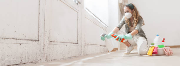 Environmental Consulting for Mold Prevention in Blue Bell, PA